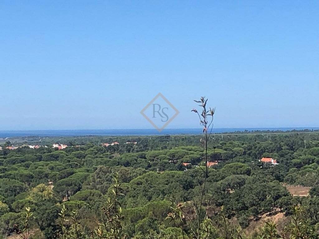 Land in Melides, Setubal, Portugal 1 - 12700079