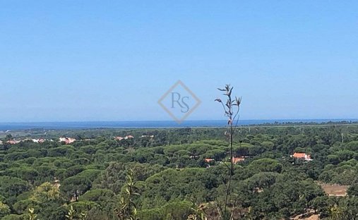 Land in Melides, Setubal, Portugal 1