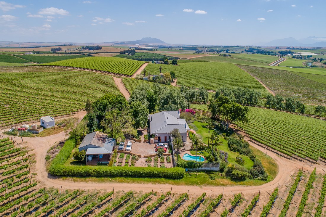 Lifestyle Table Grape Farm Of 47 In Wellington, Western Cape, South