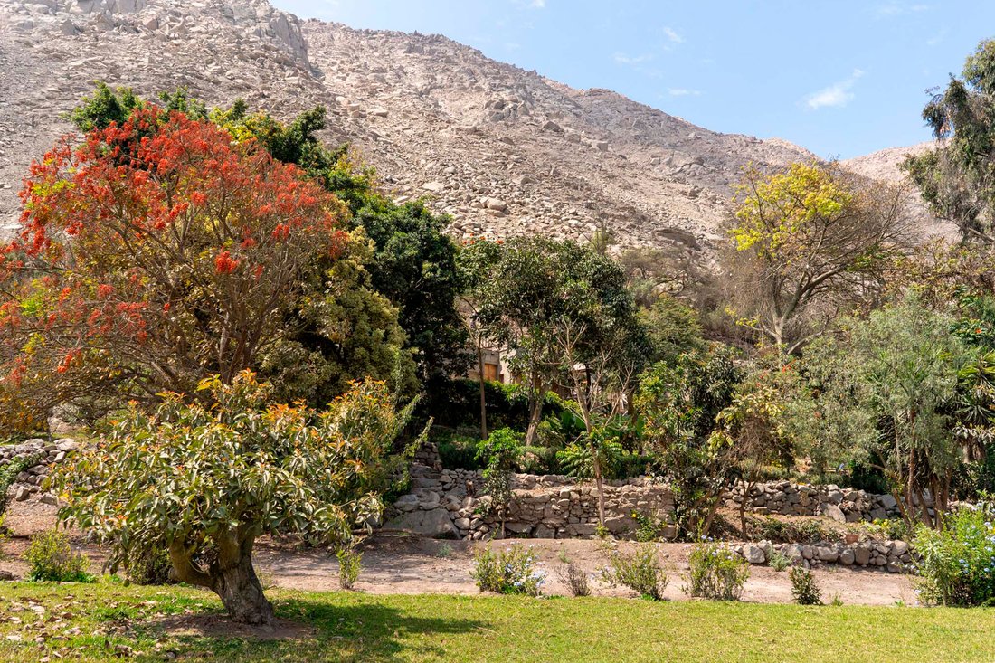Impressive Valley, In Cieneguilla, Metropolitan Municipality Of Lima