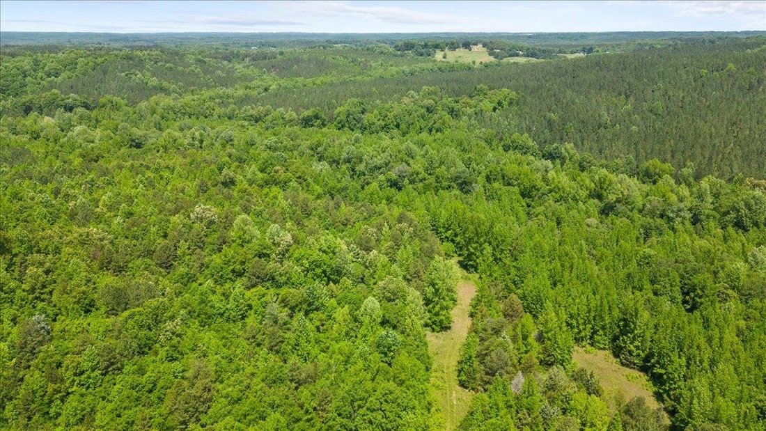 Vacant Land (10+ Acres) In Union, South Carolina, United States For