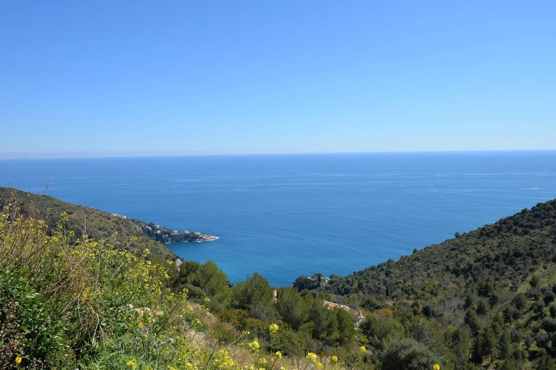 Land in Èze, Provence-Alpes-Côte d'Azur, France 1 - 12438554