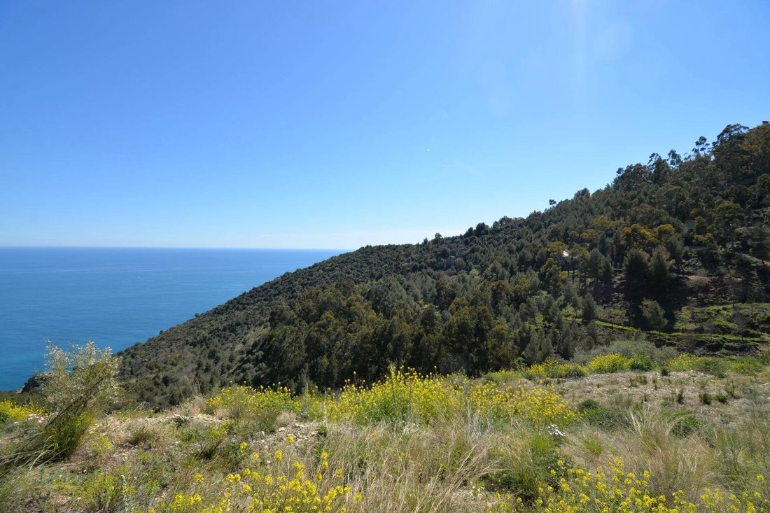Land in Èze, Provence-Alpes-Côte d'Azur, France 4 - 12438554