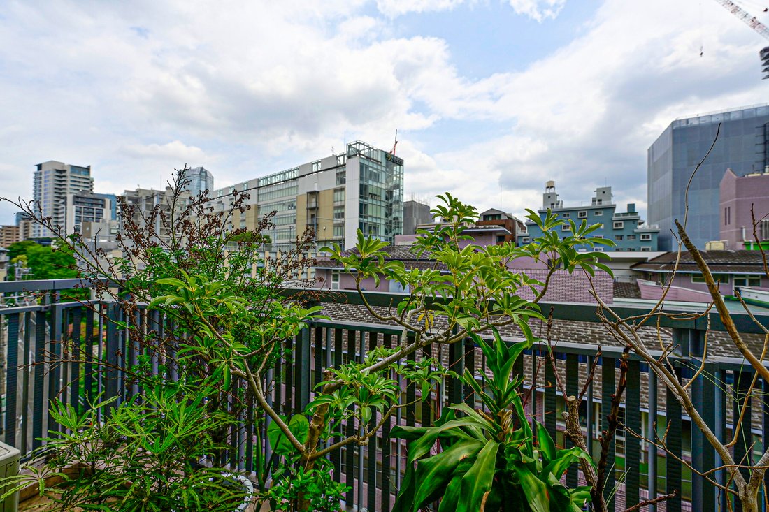 Open Residencia Hiroo The House South Court In Shibuya City, Tokyo
