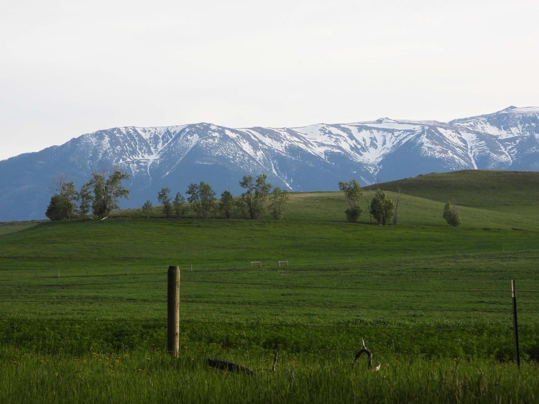Beartooth Overlook In Fishtail, Montana, United States For Sale (12978599)