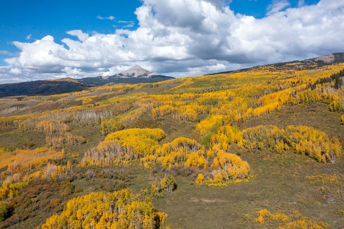 Brumley Aspen Waters Ranch In Dolores, Colorado, United States For Sale