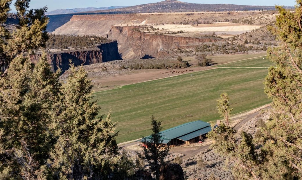 Crooked River Rim Farm In Culver, Oregon, United States For Sale (12978732)
