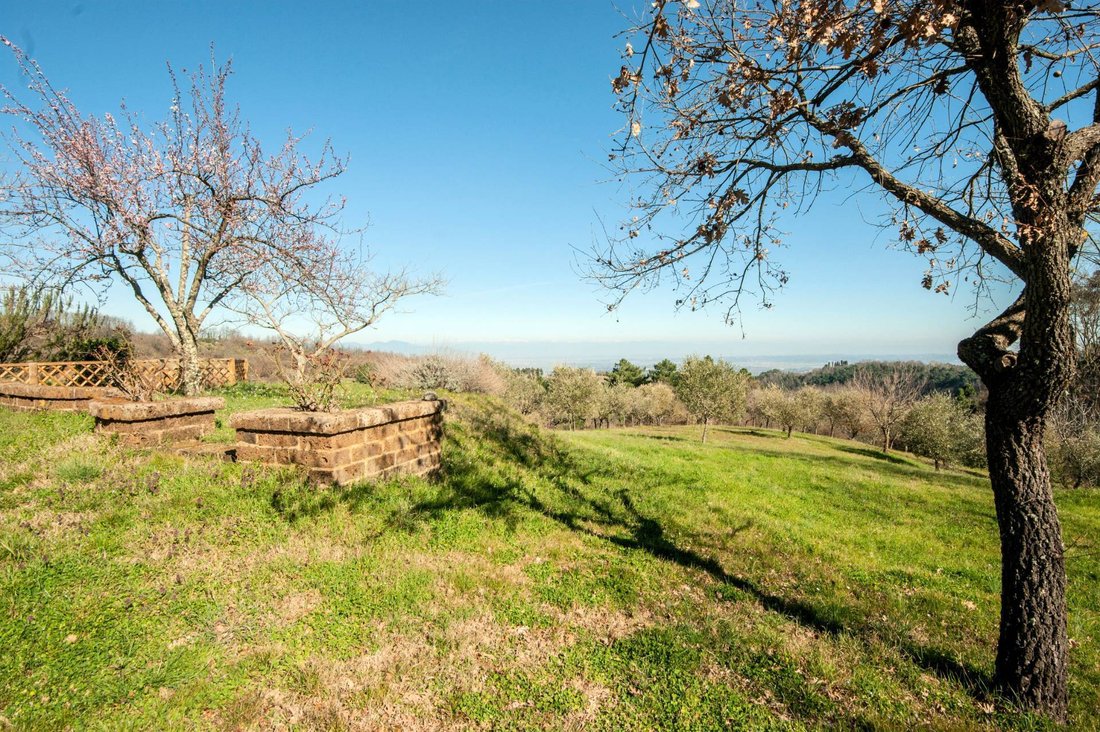 Country House in Chianni, Tuscany, Italy 4 - 12980536