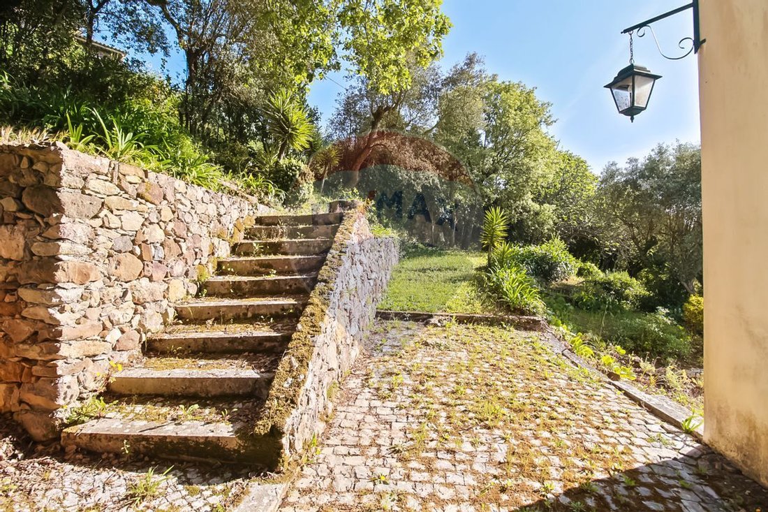 Farm Ranch in Mafra, Lisbon, Portugal 5 - 12980452