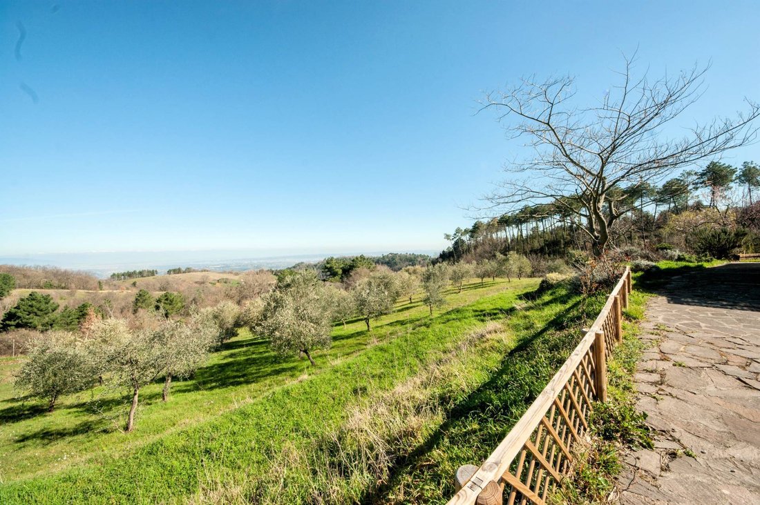 Country House in Chianni, Tuscany, Italy 2 - 12980536