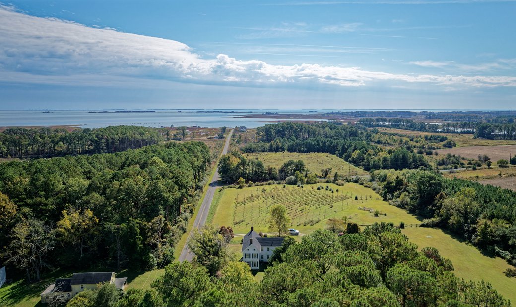 Vineyard By The Sea In Girdletree, Maryland, United States For Sale