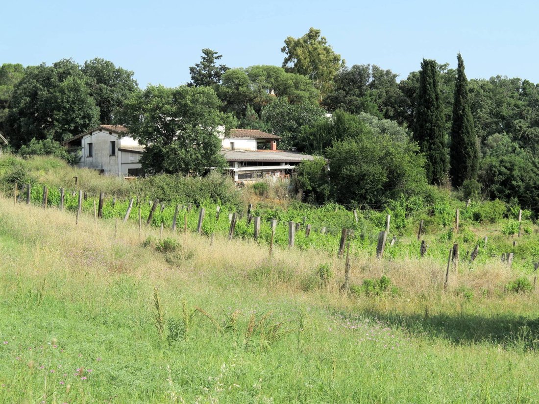 Casa di campagna a Magliano in Toscana, Toscana, Italia 4 - 12980781