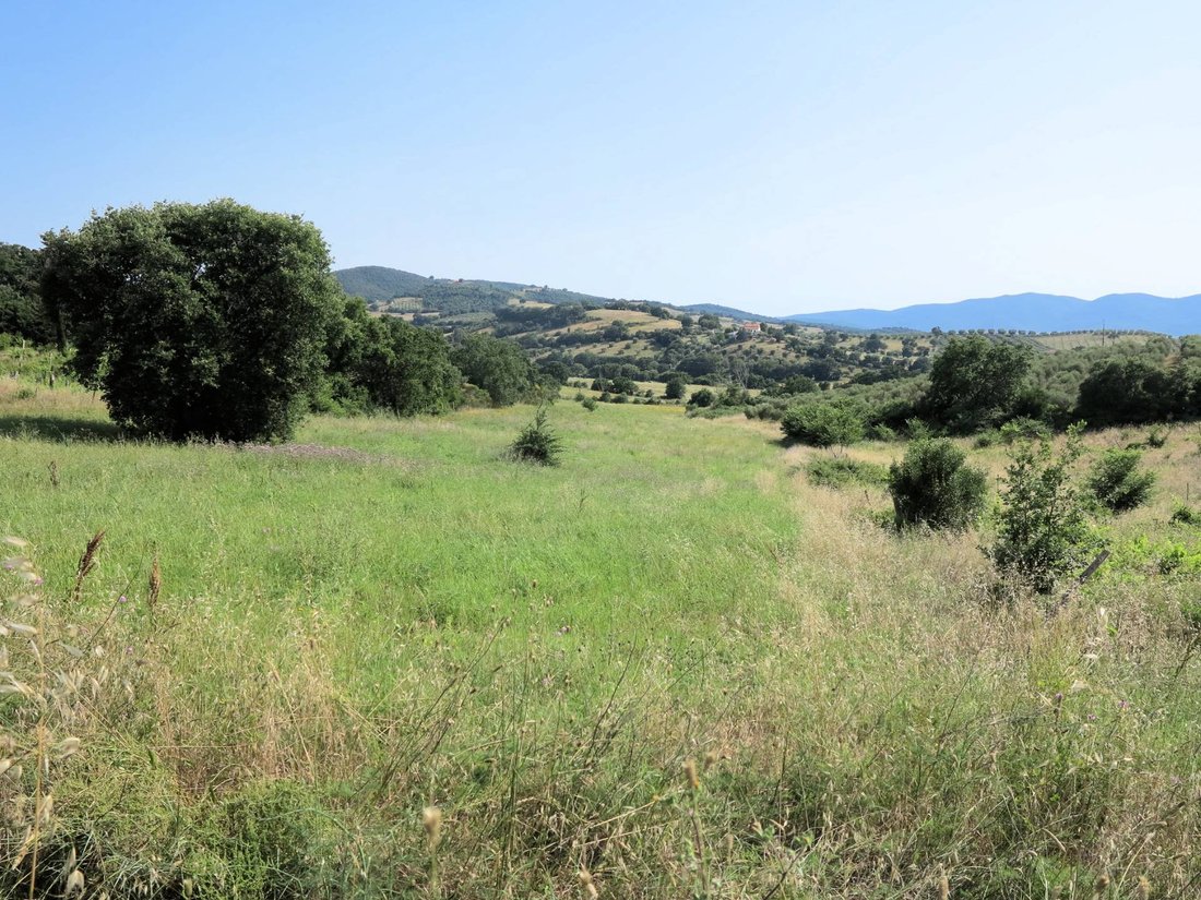 Casa di campagna a Magliano in Toscana, Toscana, Italia 3 - 12980781