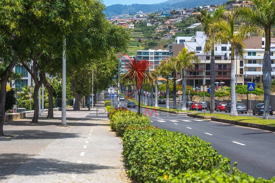 Apartment in Santa Luzia, Madeira, Portugal 5 - 12862561