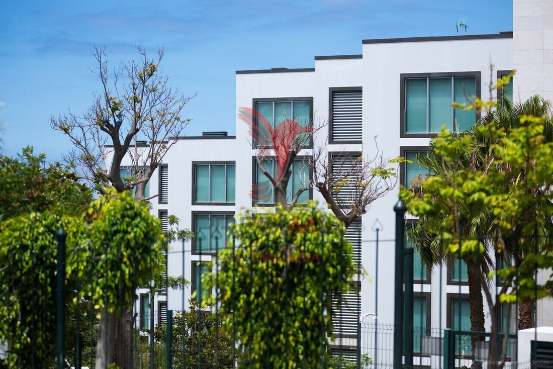 Apartment in Santa Luzia, Madeira, Portugal 3 - 12862561