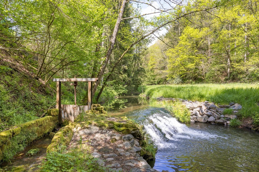 Idyllic, Historic Mill Property In Gransdorf, Rhineland Palatinate