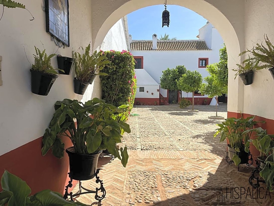 Country House in Carmona, Andalusia, Spain 2 - 12988063