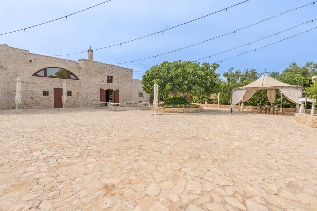 Farm Ranch in City, Bitonto, Apulia 3 - 12986379