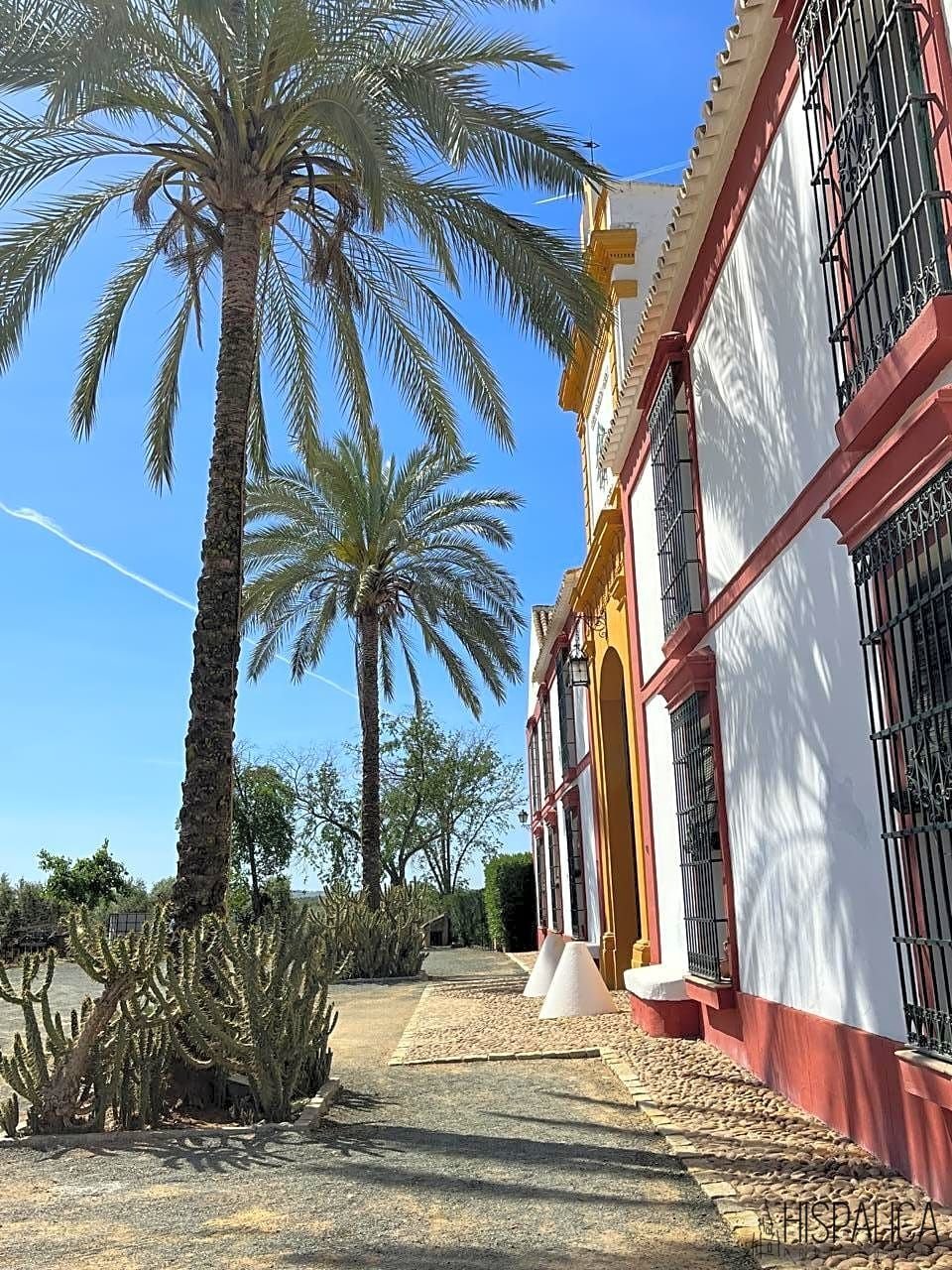 Country House in Carmona, Andalusia, Spain 4 - 12988063