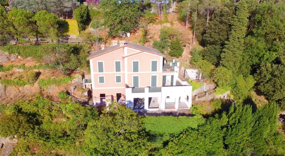 Villa in Portofino, Liguria, Italy 5 - 11329367
