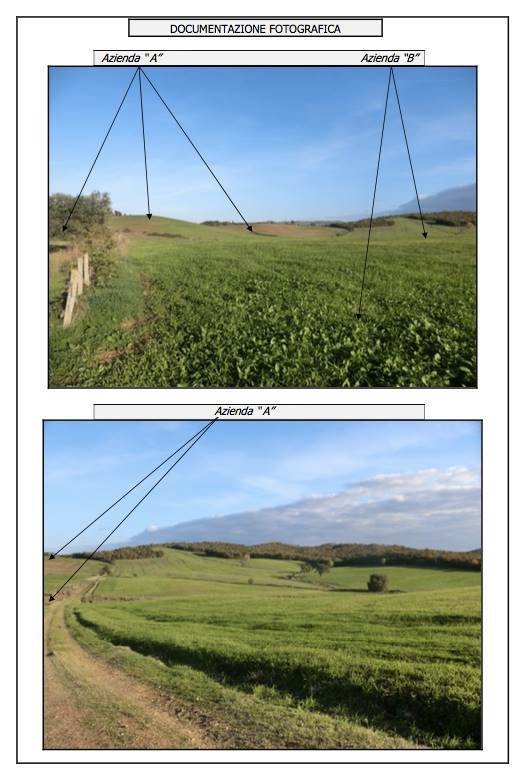 Land in Manciano, Tuscany, Italy 2 - 12986837