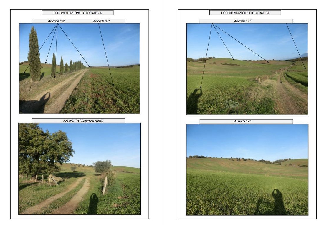 Land in Manciano, Tuscany, Italy 1 - 12986837