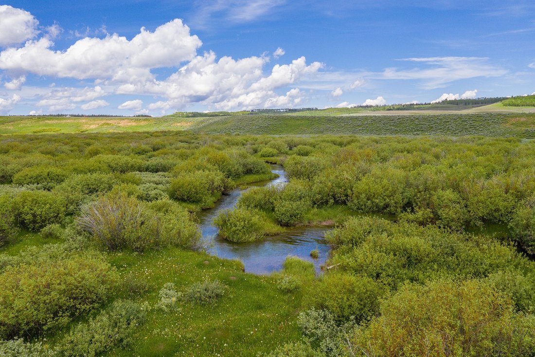Aspen Springs Ranch In Pinedale, Wyoming, United States For Sale (12466579)