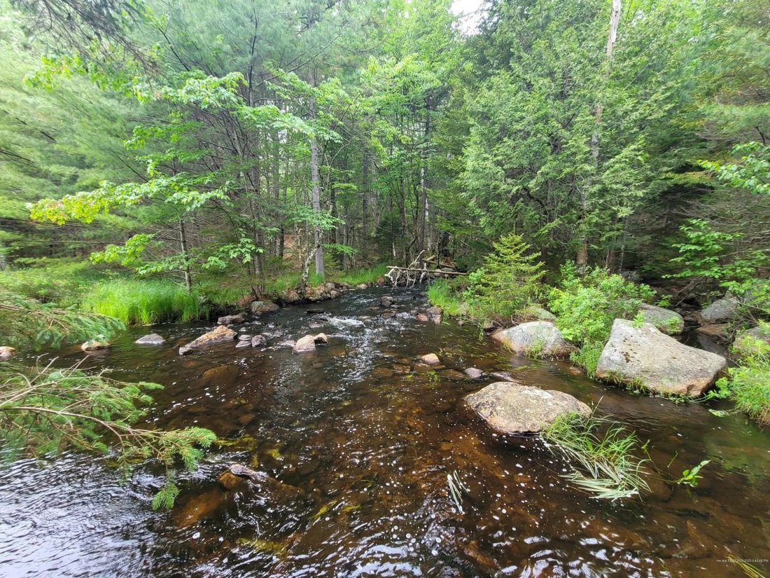Land Single Family Acreage In Blue Hill, Maine, United States For Sale