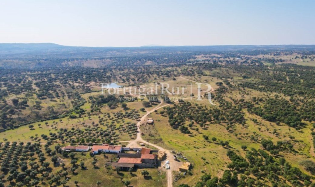 Country Estate Sale In Castelo Branco, Castelo Branco District, Portugal For Sale (12991276)