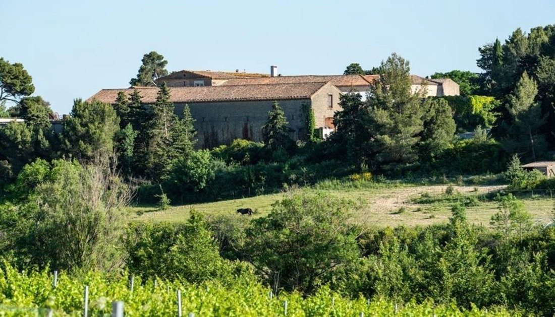 Sale Vineyard Property Carcassonne In Carcassonne, Occitanie, France
