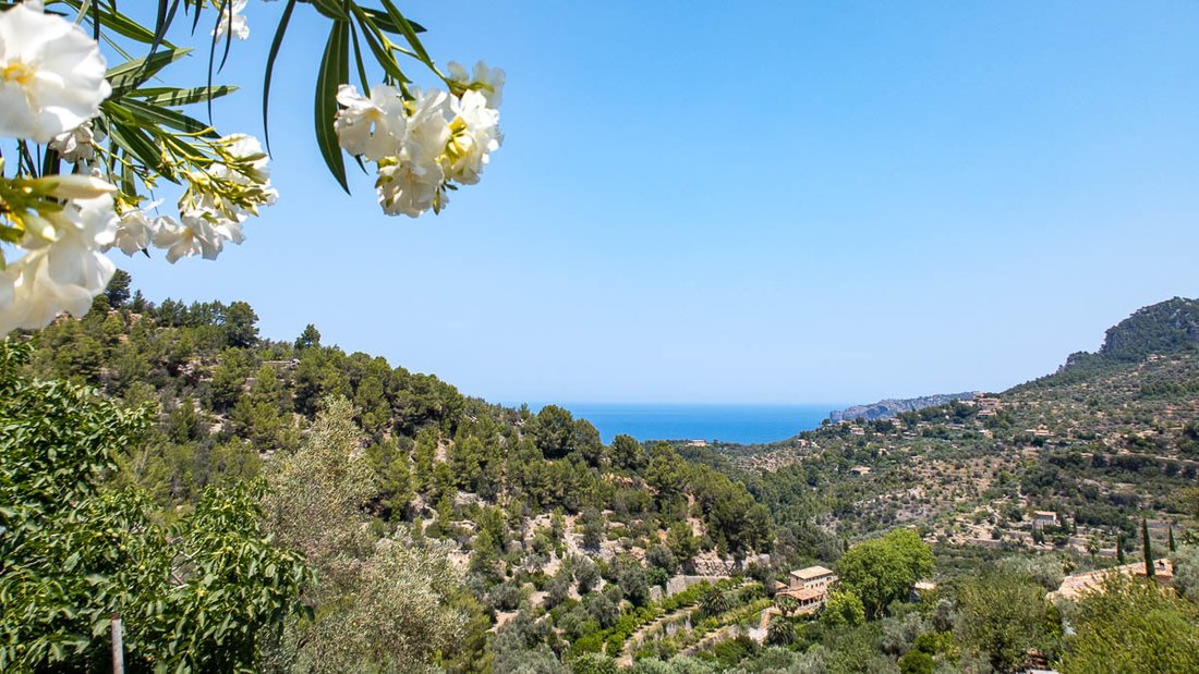 Finca en Deyá, Islas Baleares, España 5 - 12994106