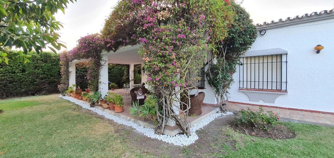 Exclusive Investment Opportunity, In San Pedro De Alcántara, Andalusia