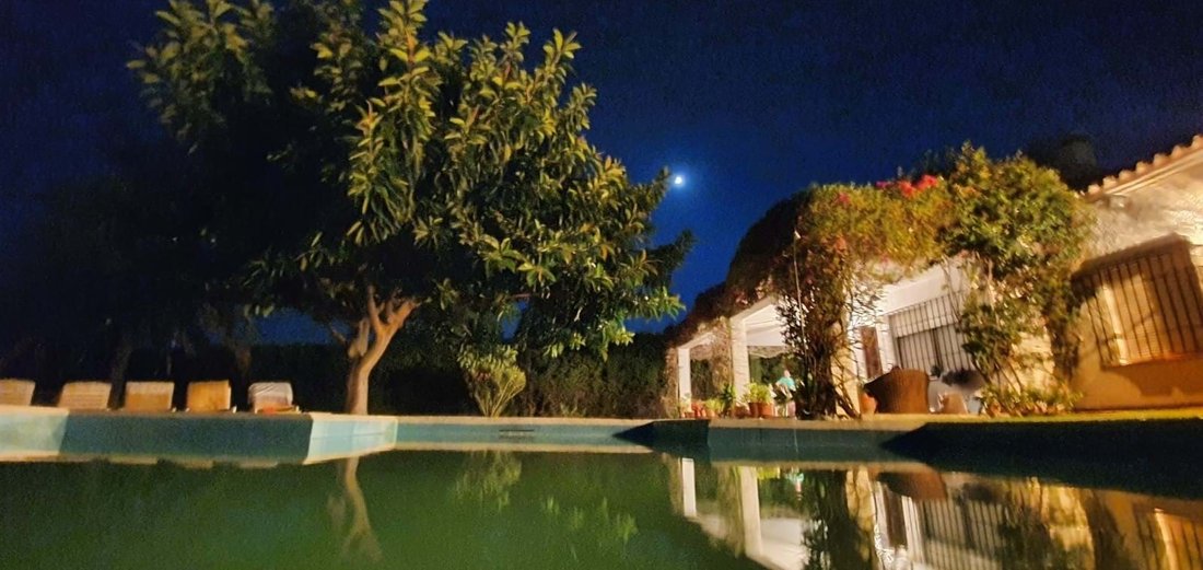 Exclusive Investment Opportunity, In San Pedro De Alcántara, Andalusia