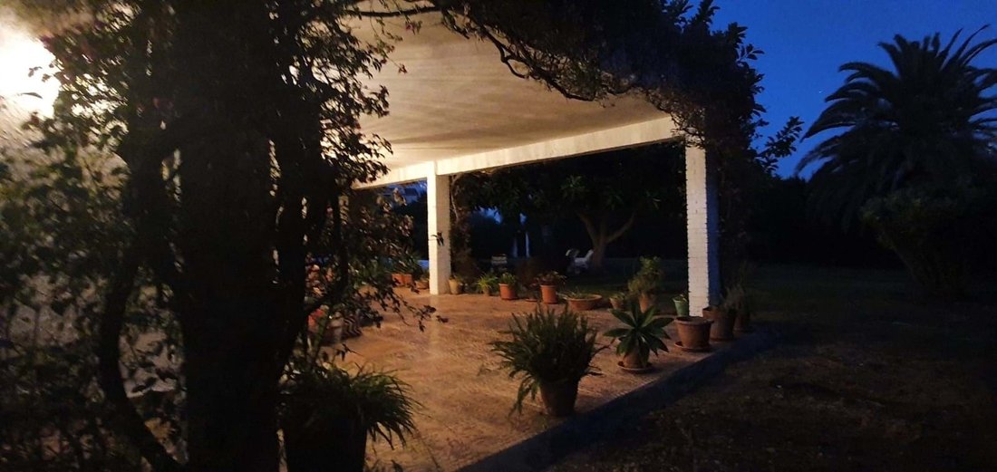 Exclusive Investment Opportunity, In San Pedro De Alcántara, Andalusia