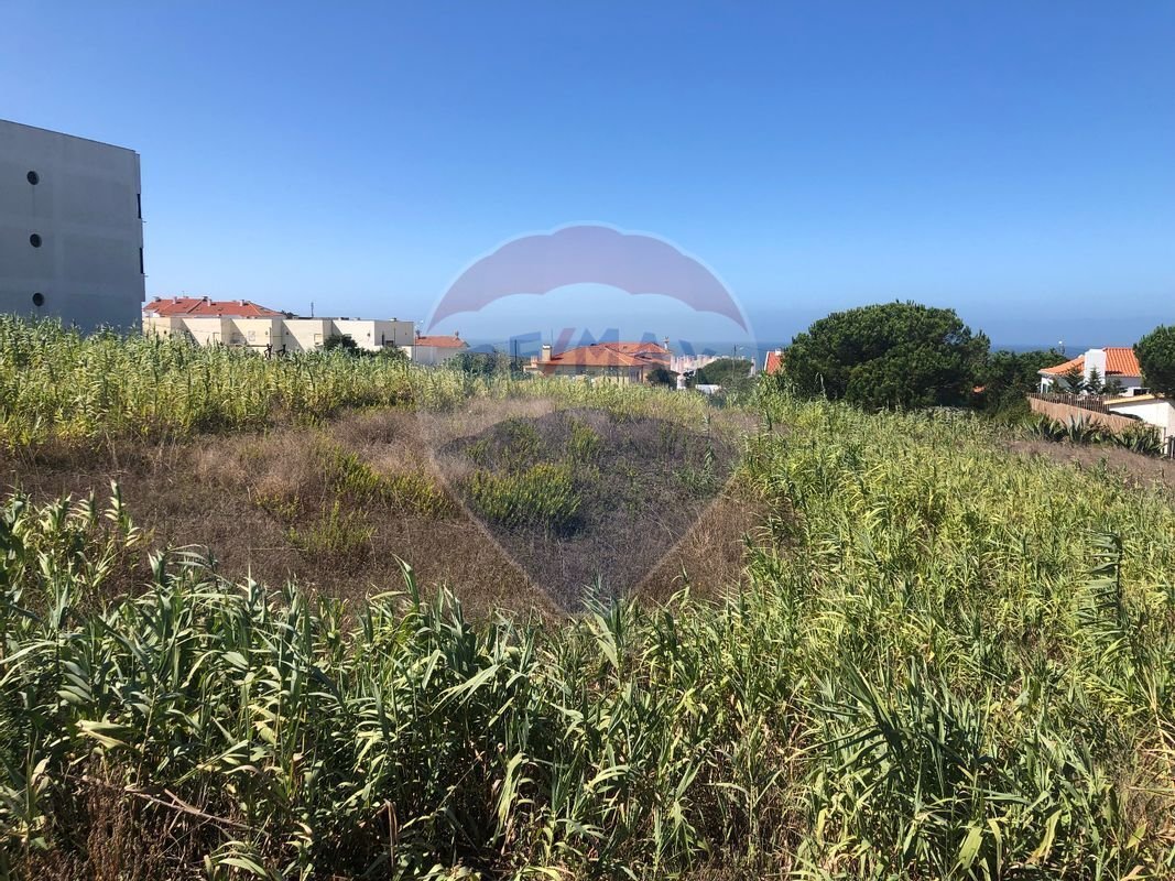 Land For Sale In Colares, Sintra In Colares, Lisbon, Portugal For Sale (13001039)