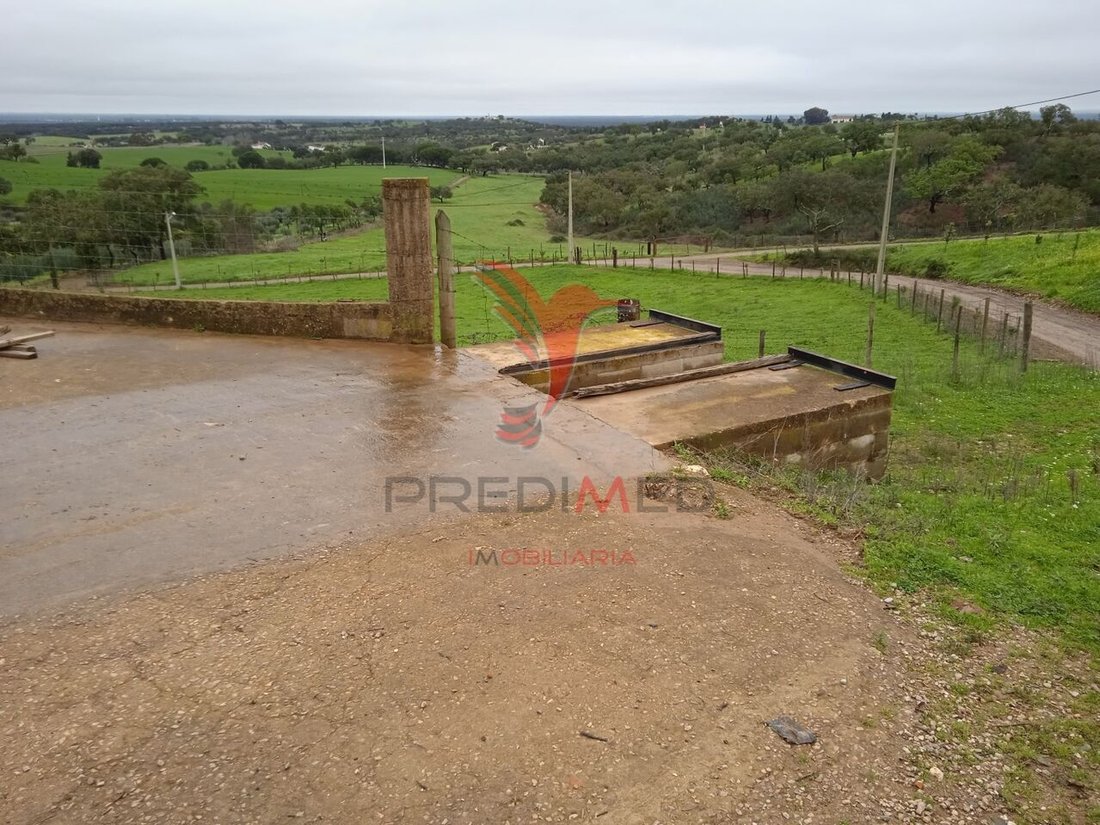 Farm Ranch in Colos, Beja District, Portugal 3 - 13001306