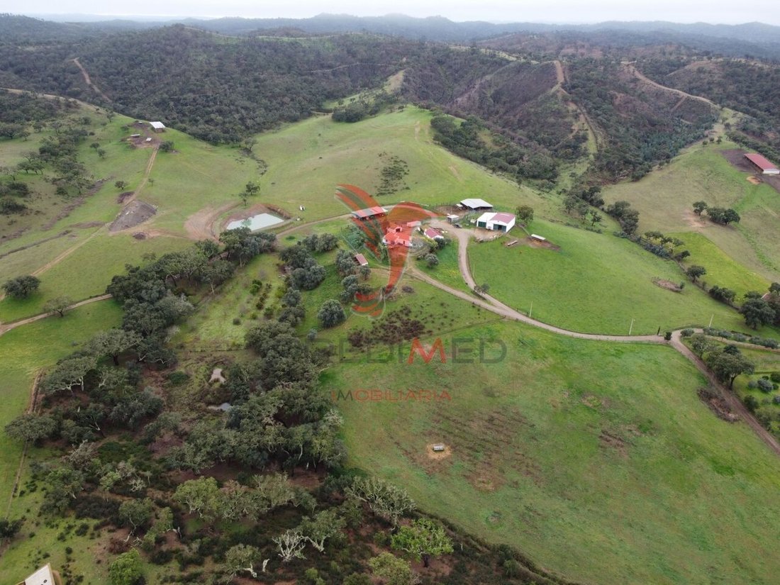 Farm Ranch in Colos, Beja District, Portugal 4 - 13001306