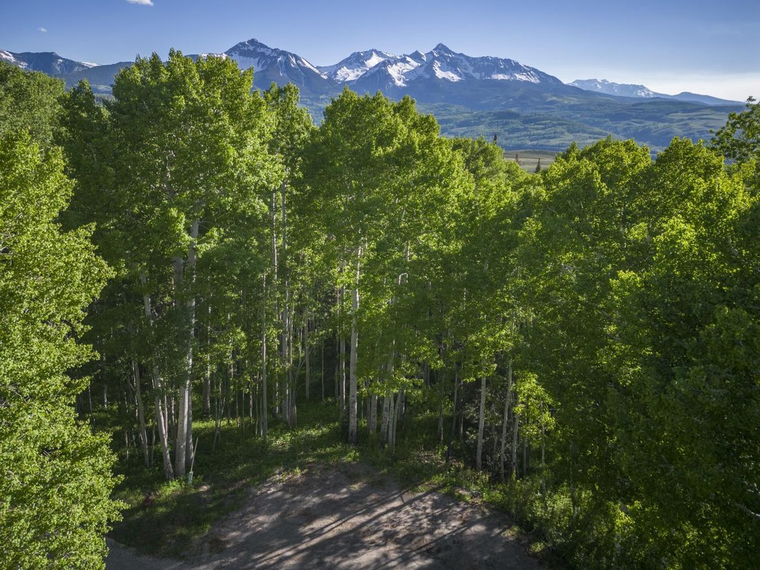 Land in Mountain Village, Colorado, United States 4 - 13000549
