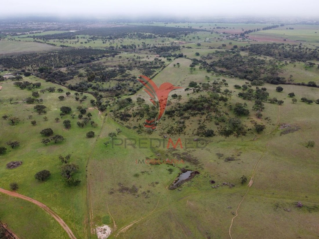 Farm Ranch in Colos, Beja District, Portugal 5 - 13001306