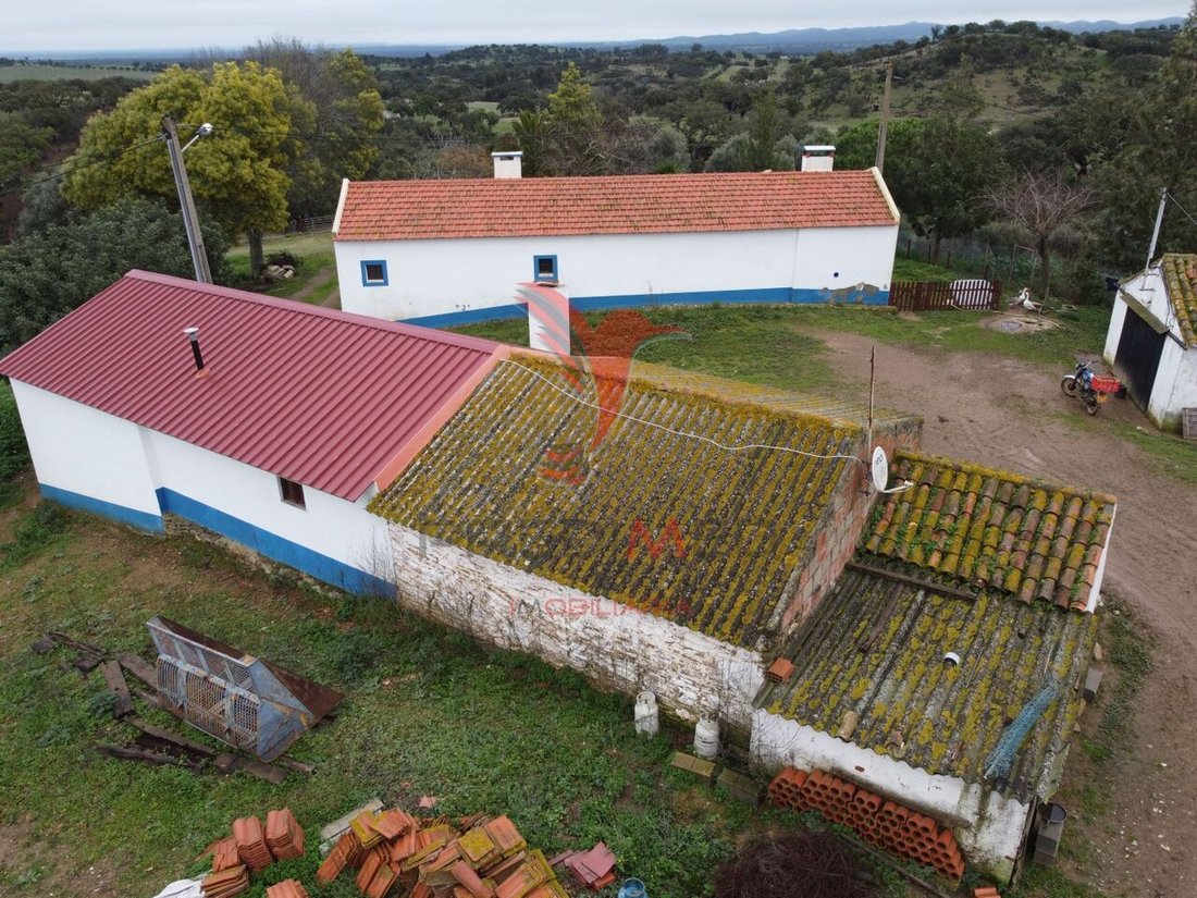 Homestead With 99ha, Odemira In Colos, Beja District, Portugal For Sale