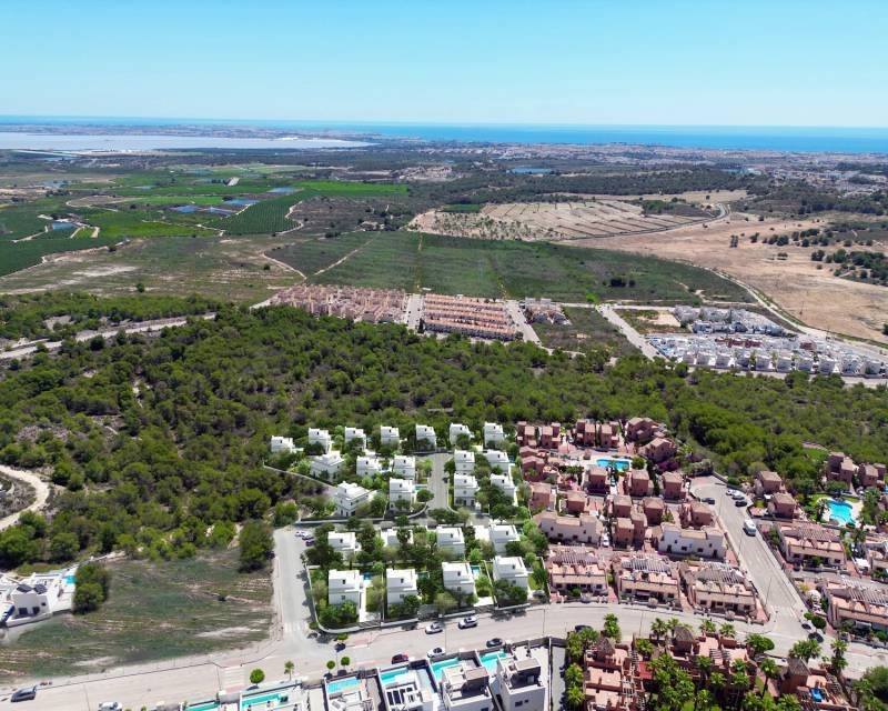 San Miguel De Salinas In San Miguel De Salinas, Valencian Community