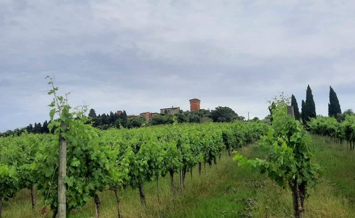 Rancho en Valiano, Toscana, Italia 1
