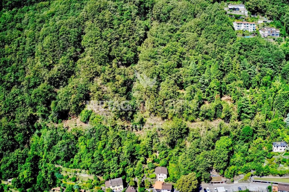 Large Building Plot With A View Of In Ronco Sopra Ascona, Ticino