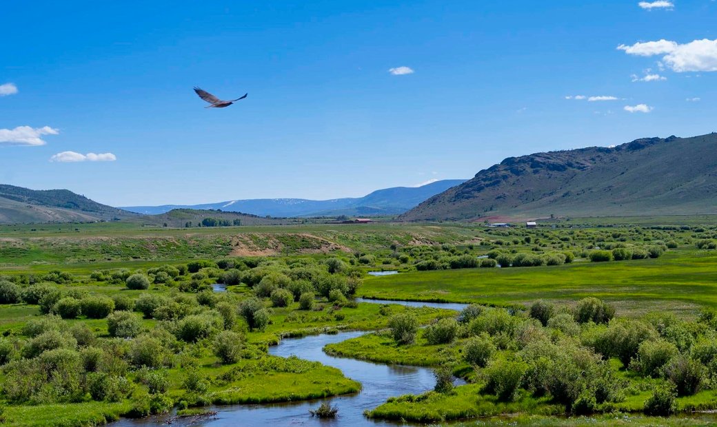 North Fork River Ranch In Walden, Colorado, United States For Sale