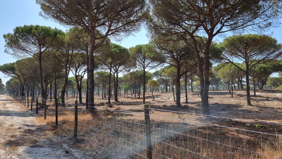 Land in Carvalhal, Setubal, Portugal 2 - 13010055
