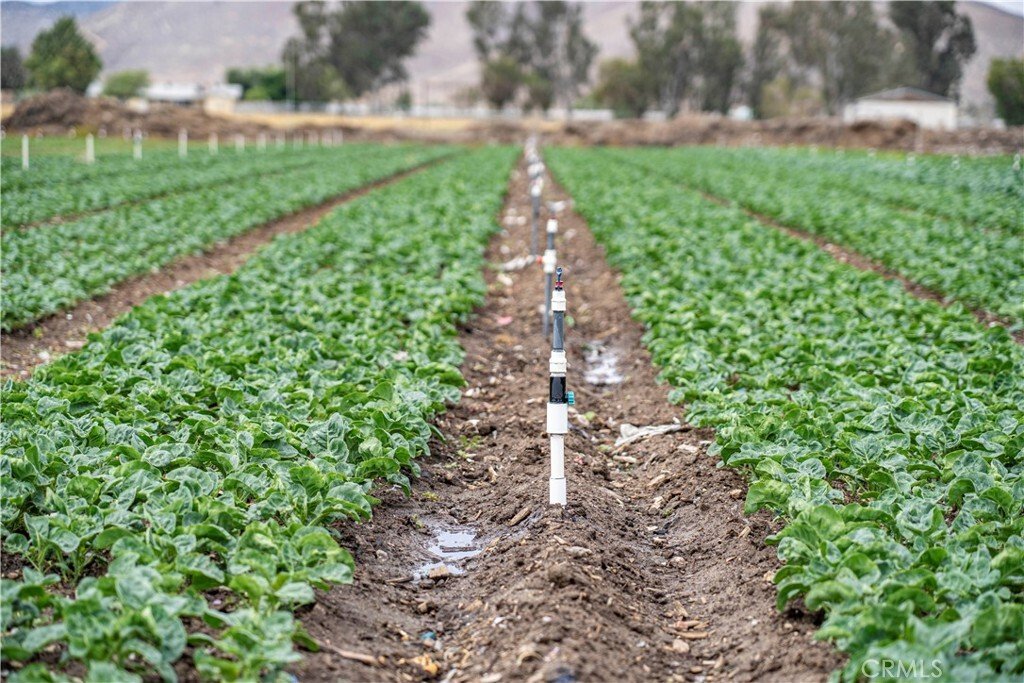 5 Bedrooms Mobile/Manufactured Hm W In Winchester, California, United