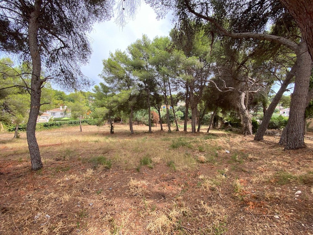 Land in Alicante, Land Valencia, Spanien 4 - 13014009