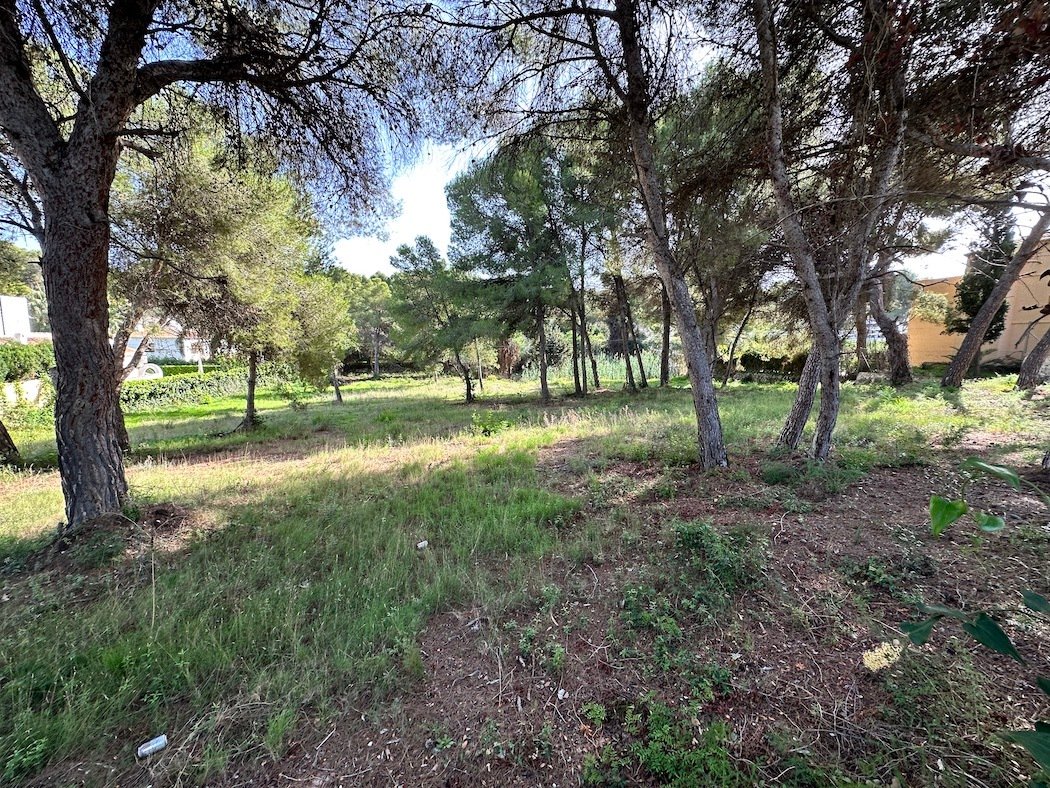 Land in Alicante, Land Valencia, Spanien 2 - 13014009