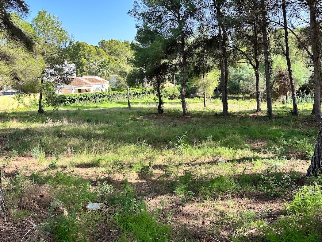 Land in Alicante, Land Valencia, Spanien 3 - 13014009