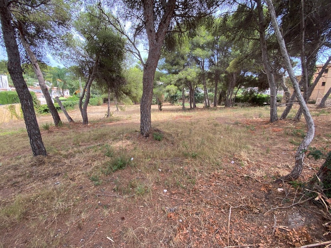 Land in Alicante, Land Valencia, Spanien 5 - 13014009